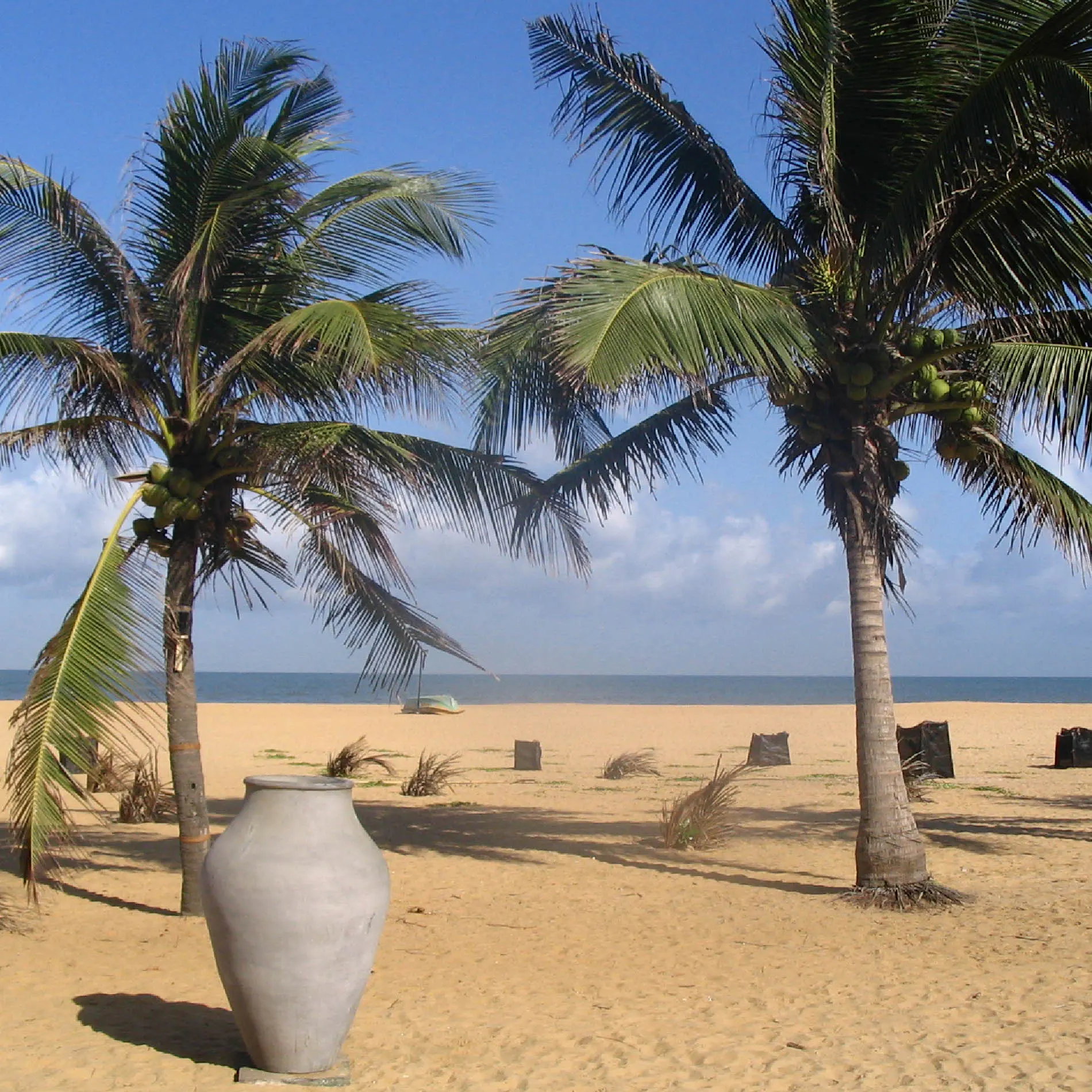 Negombo Beach