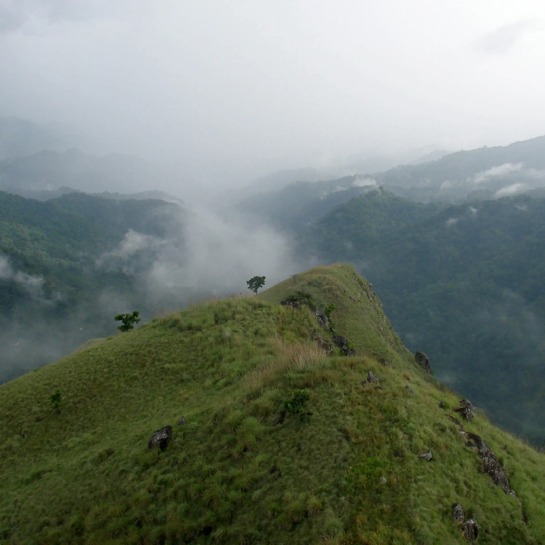 Ella Scenery